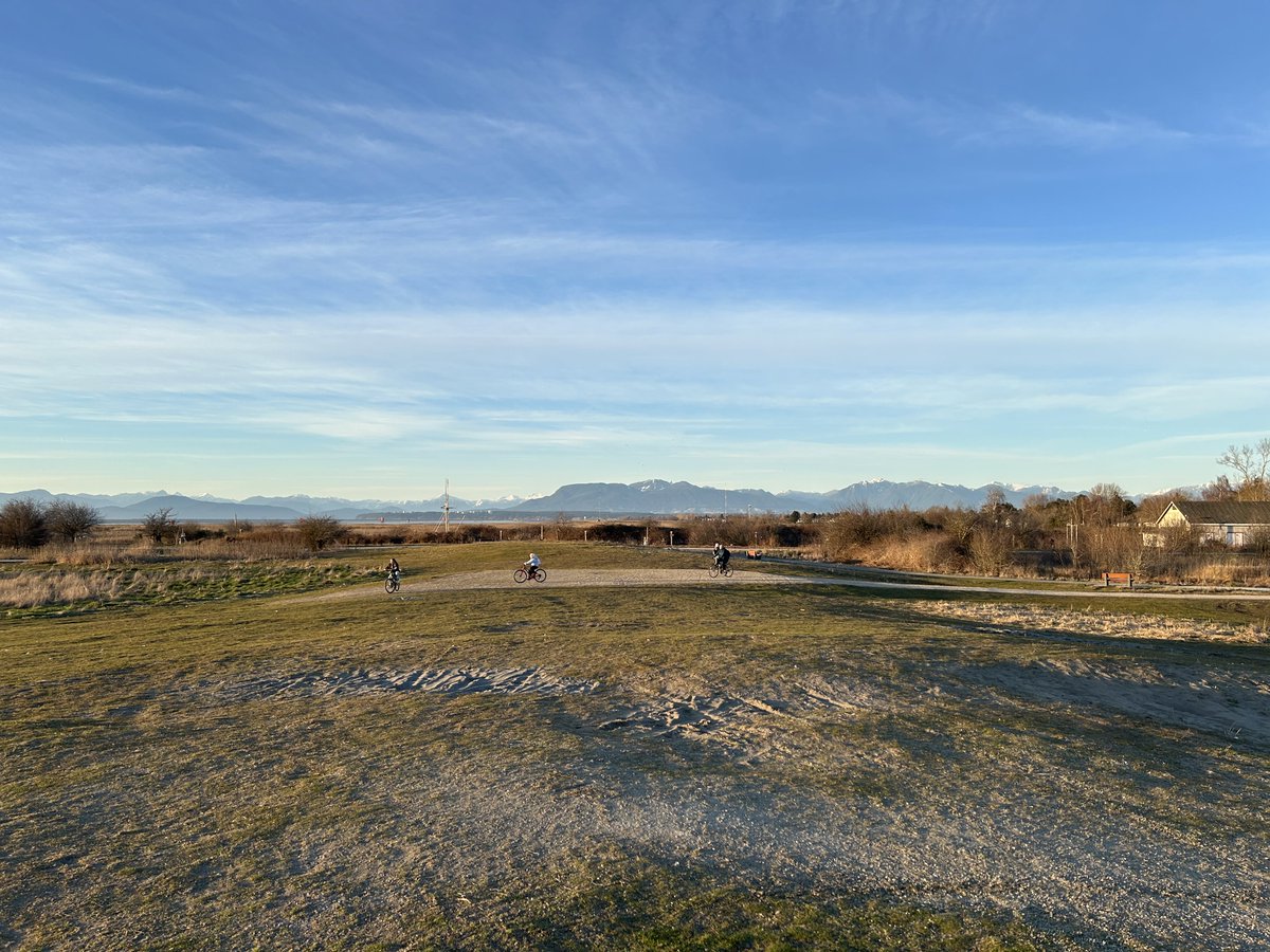 Drawable tweet media