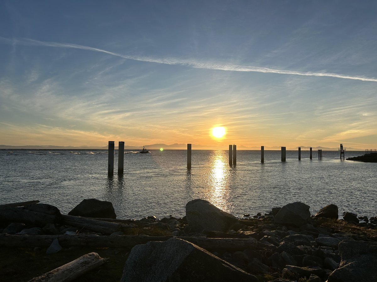 Drawable tweet media