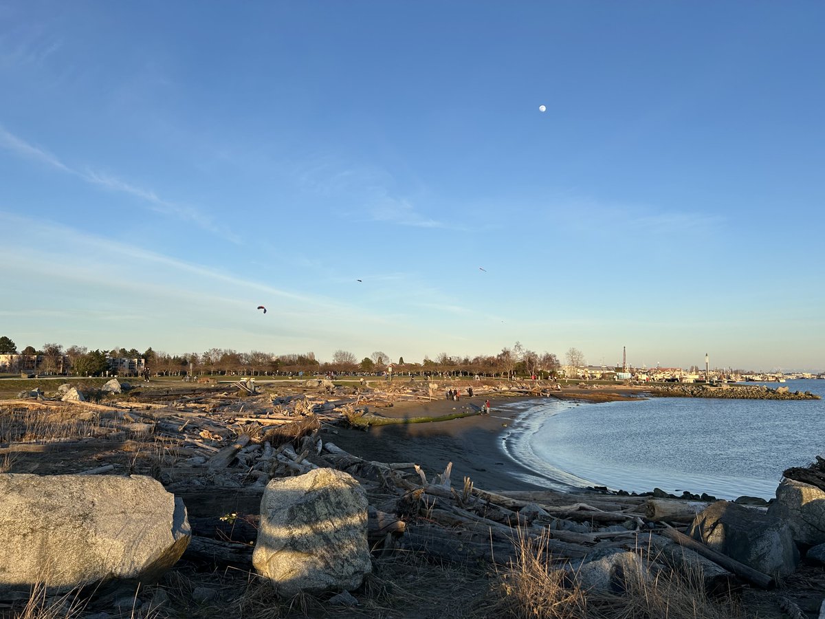 Drawable tweet media