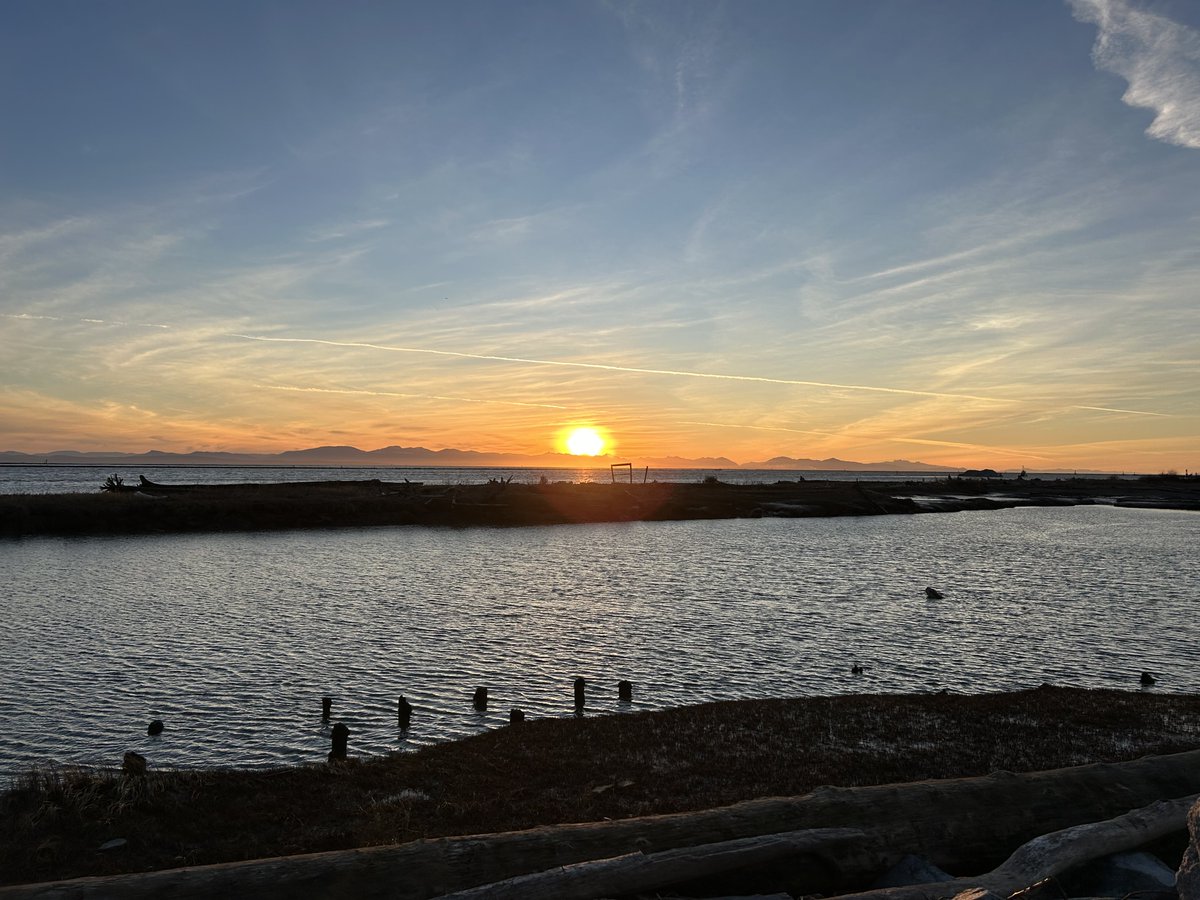 Drawable tweet media