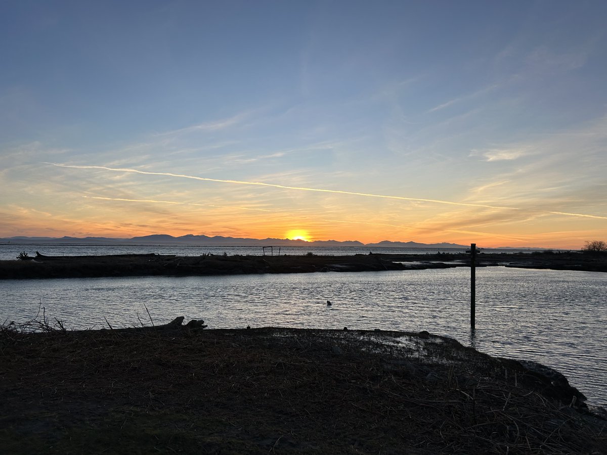 Drawable tweet media