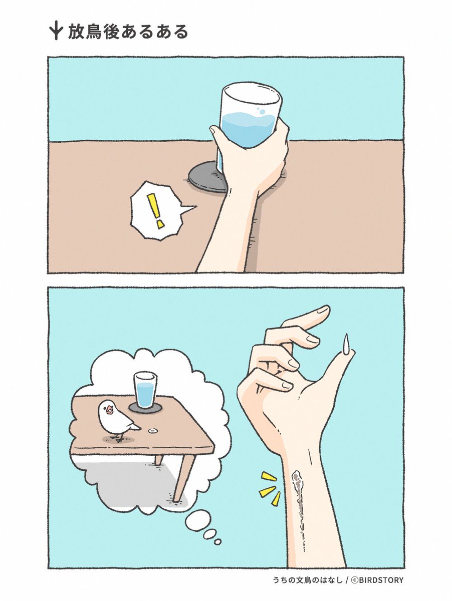 放鳥後あるある。
今週は2回くらいありましたね😂

#BIRDSTORY #うちの文鳥のはなし #漫画が読めるハッシュタグ 