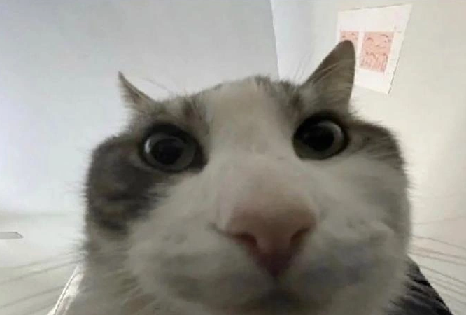 > minecraft src code leaked online
> look inside
> math