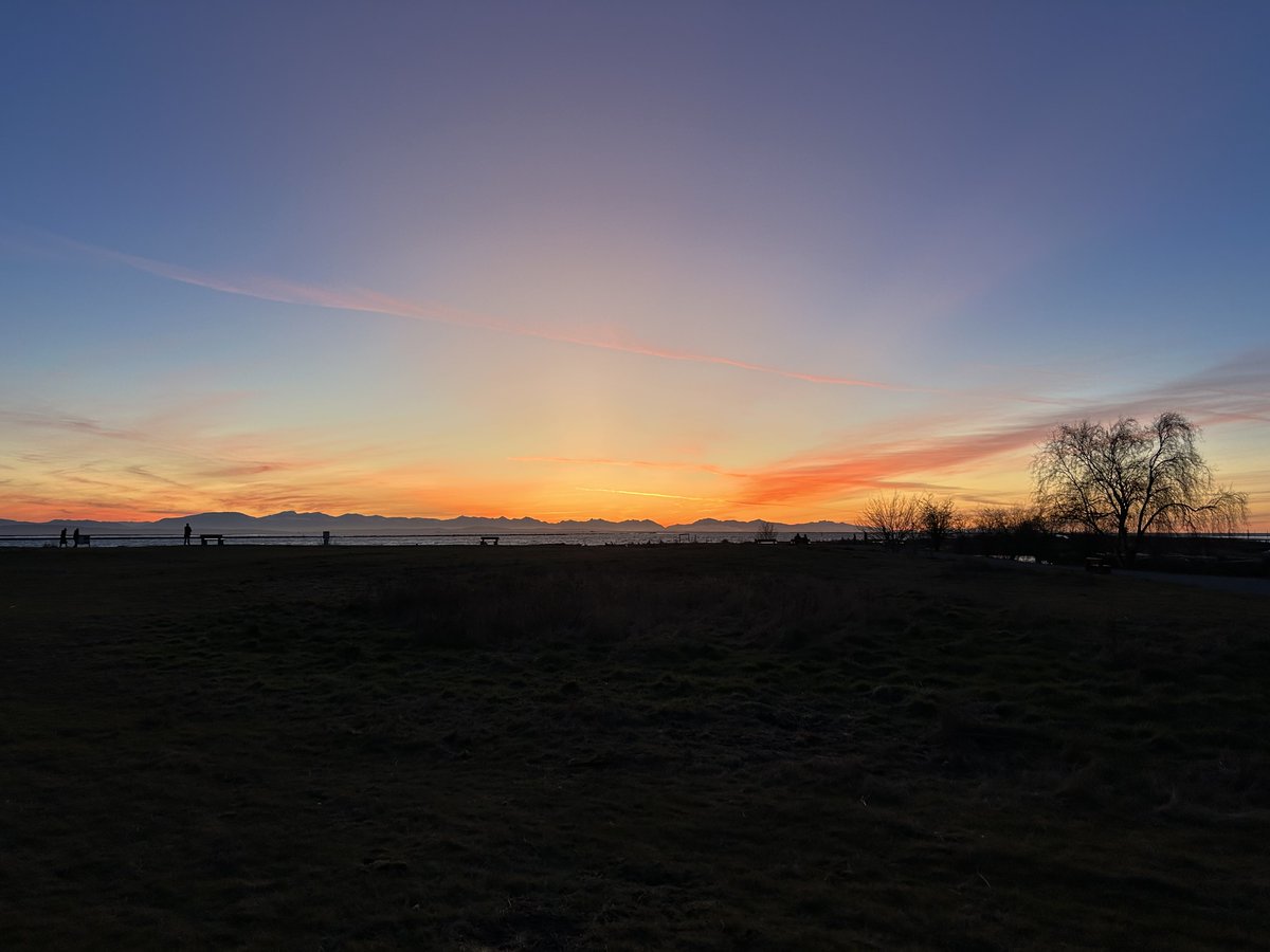 Drawable tweet media