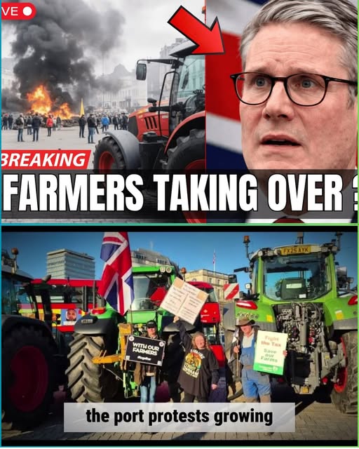 Make Europe Great Again - M.E.G.A tweet media