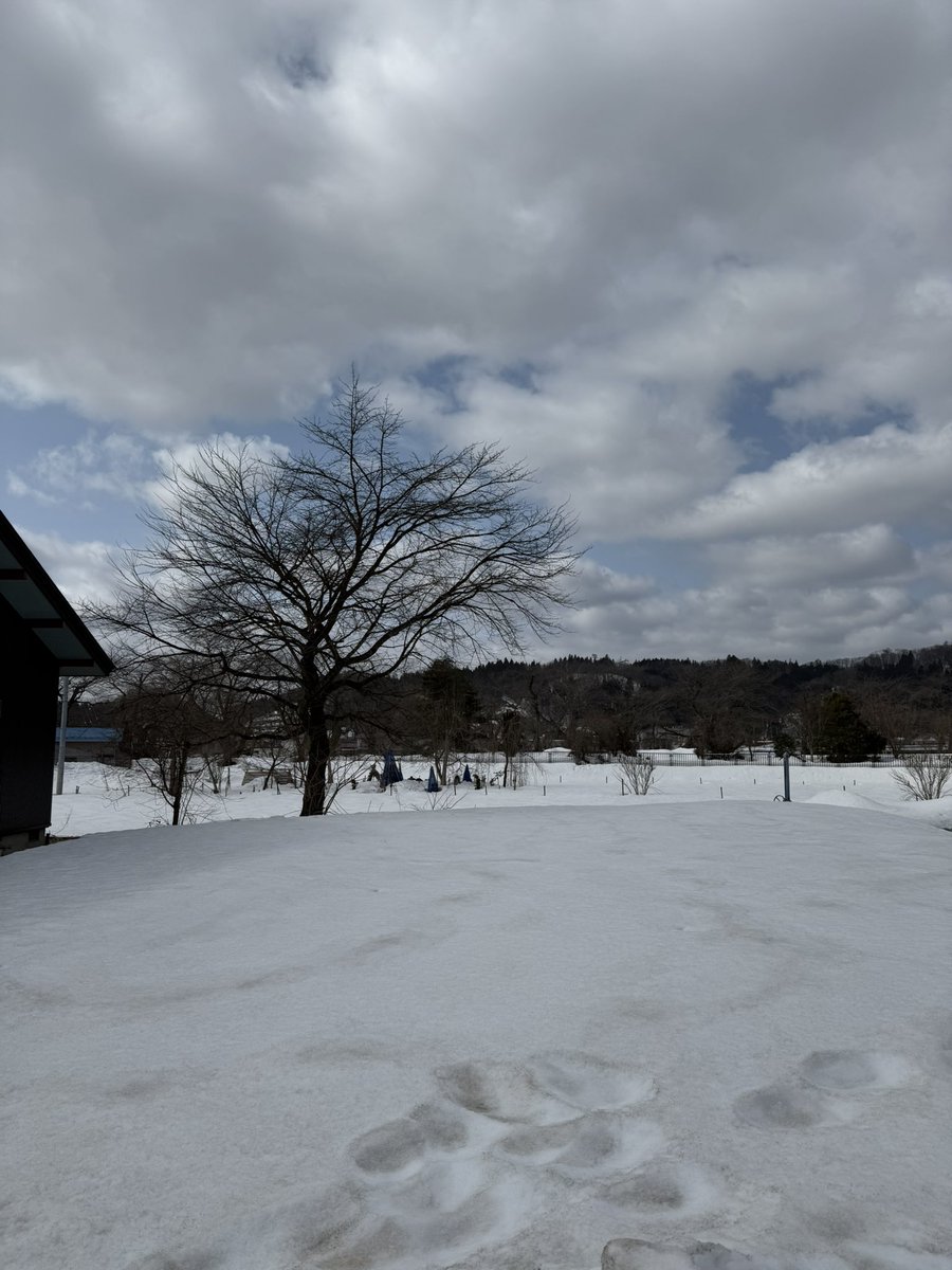 BMS | flexliks 🦍🏋🏼✝️ tweet media