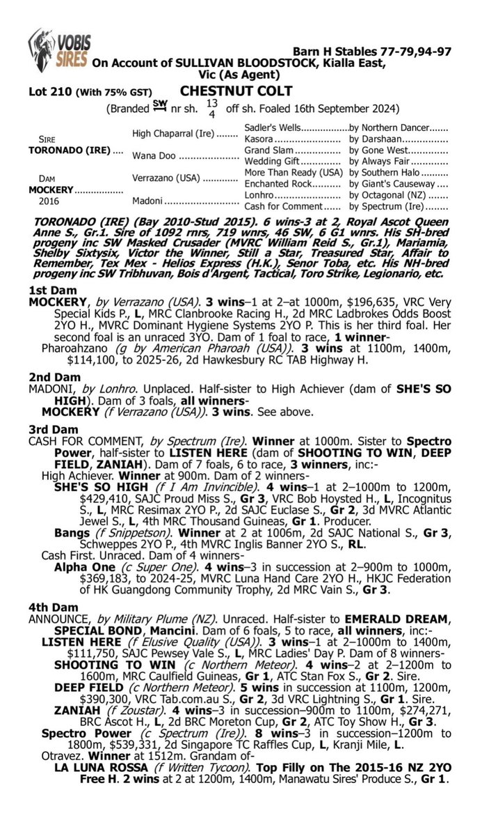 mitchellbeer tweet media