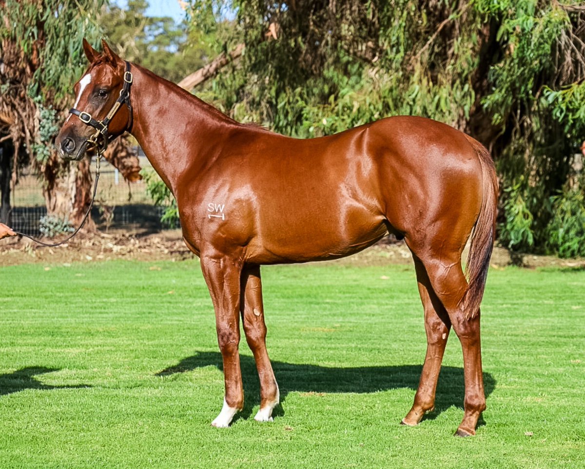 mitchellbeer tweet media