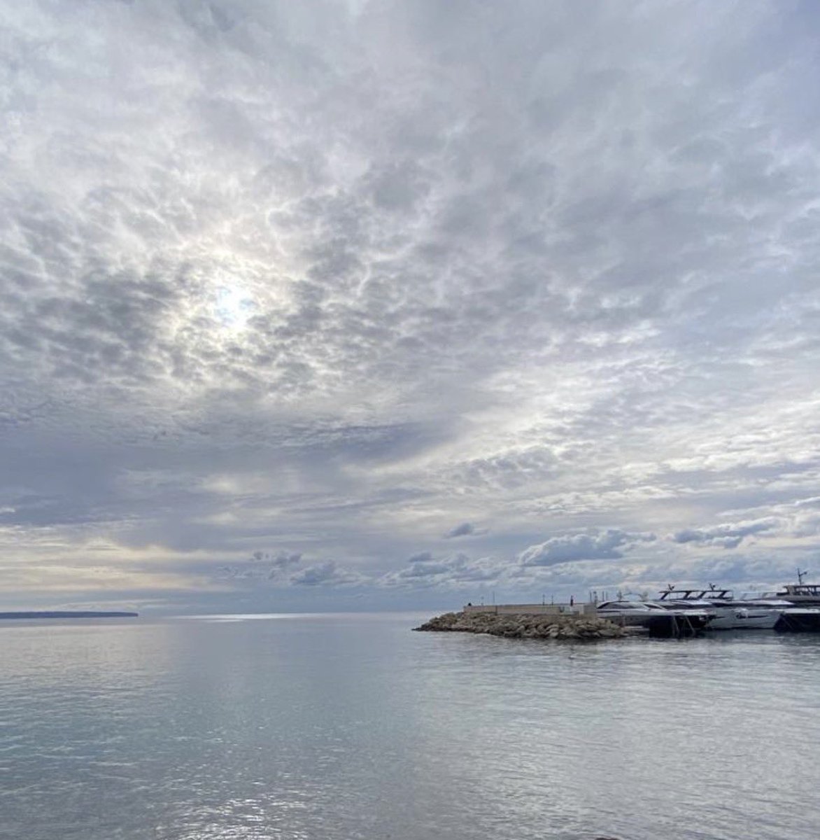 Solitario tweet media