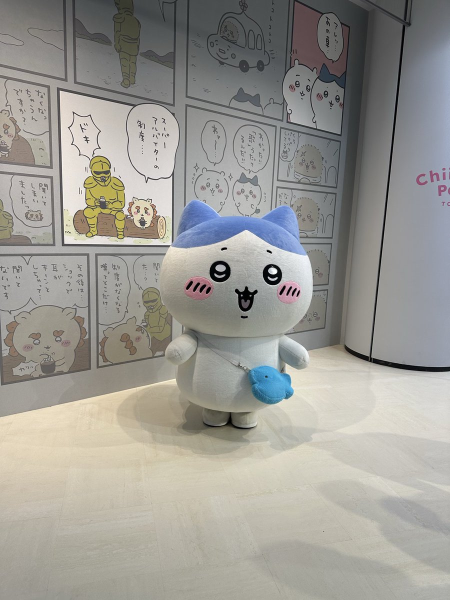 ちびすけ (@JIAhqmjrBd17104) / Posts / X