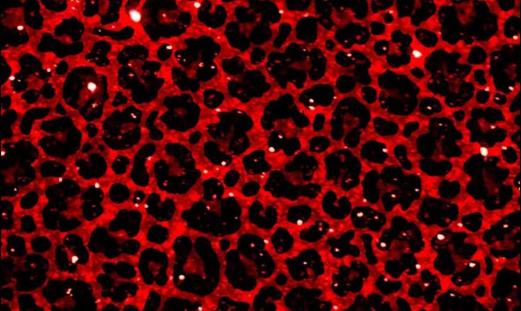 𝖌𝖍𝖔𝖘𝖙 ִ ࣪𖤐 shedtwt ! tweet media