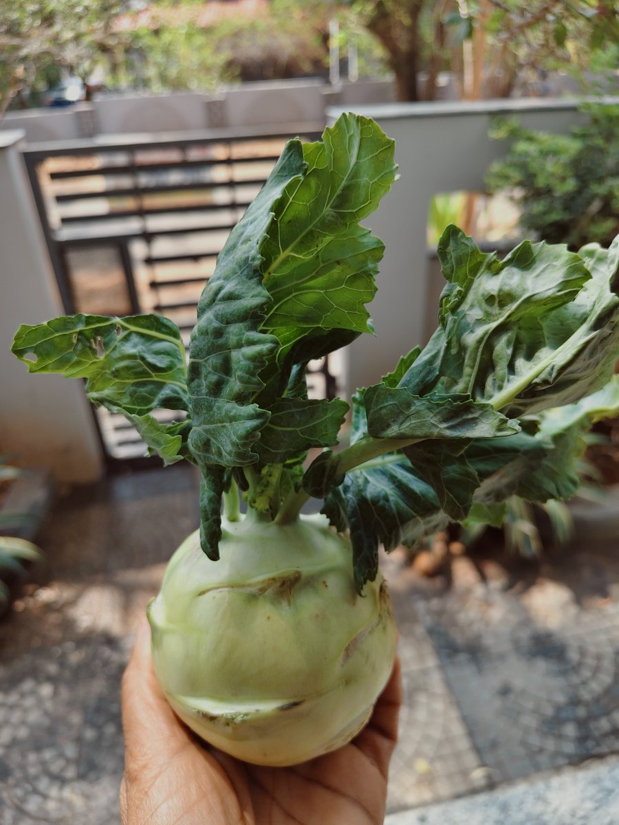 Sunita Sayammagaru 🇮🇳🇬🇧 tweet media