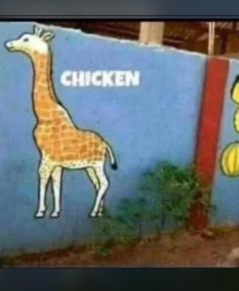 Dorwings LTD tweet media