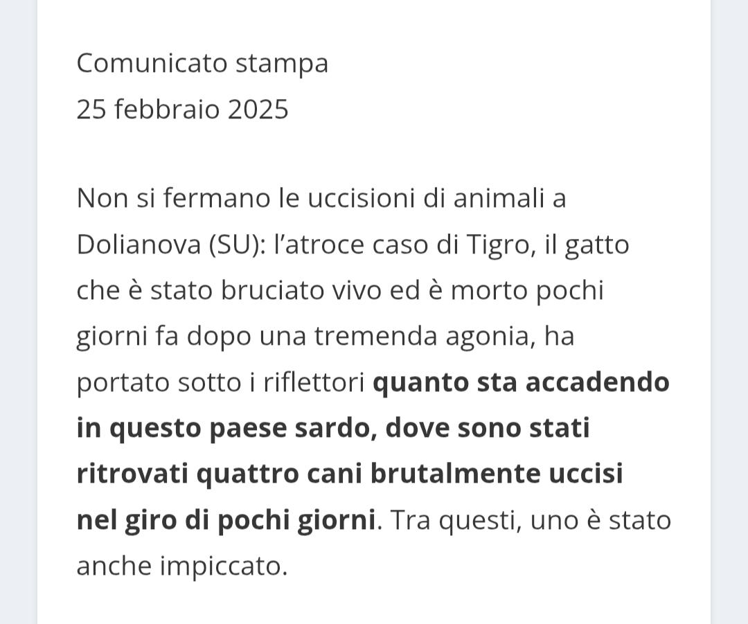 Lexan128's tweet photo. @RosannaMarani Ancora #Dolianova
Il piccolo #Tigro ,se lo ricordate, è morto bruciato vivo.. esattamente un anno fa
Un comune di 9500 abitanti ...nessuno sa o vede mai niente
BARBARI ASSASSINI https://t.co/YrqnjKimmx