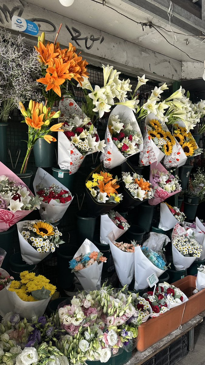 las flores son lo más lindo que hay