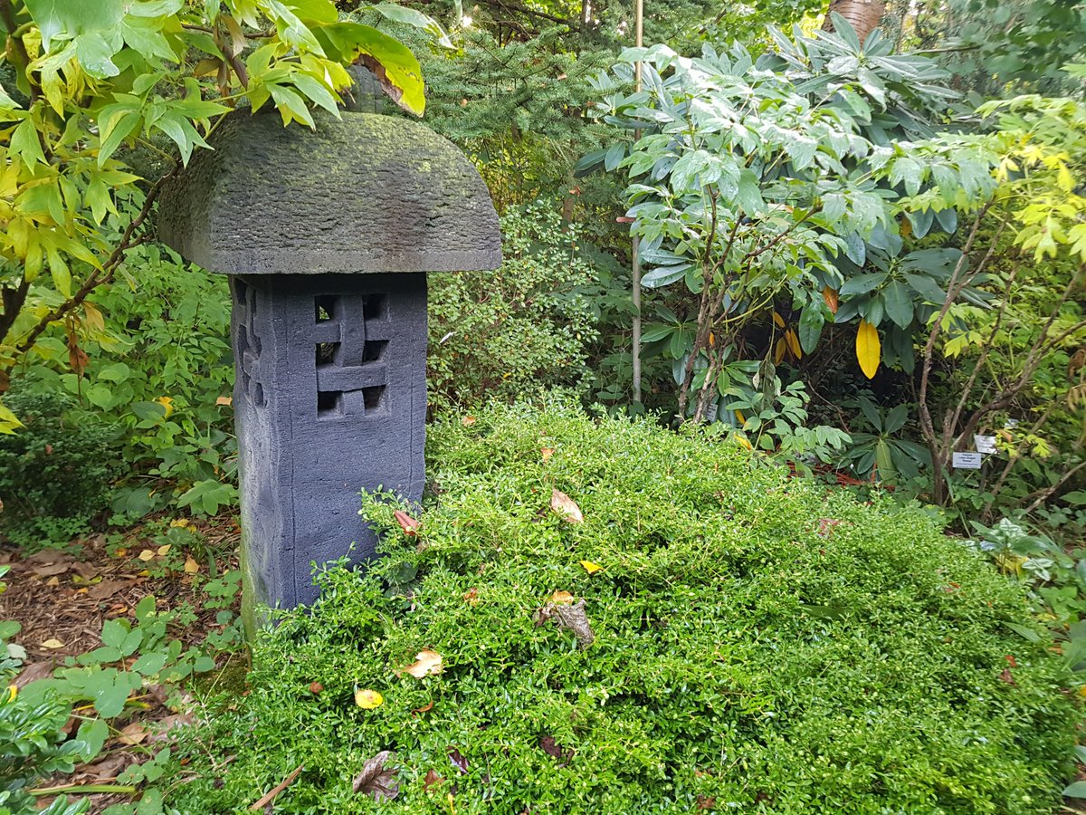 Zane Šime tweet media