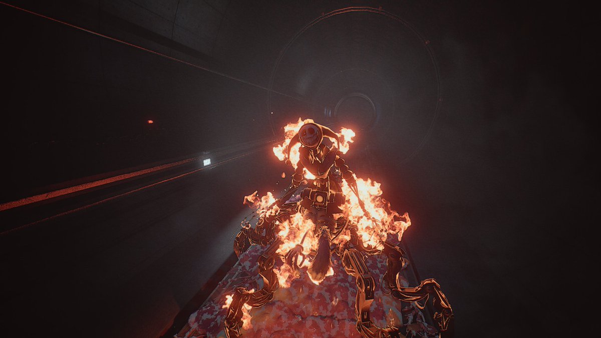 Bella!🥞 tweet media