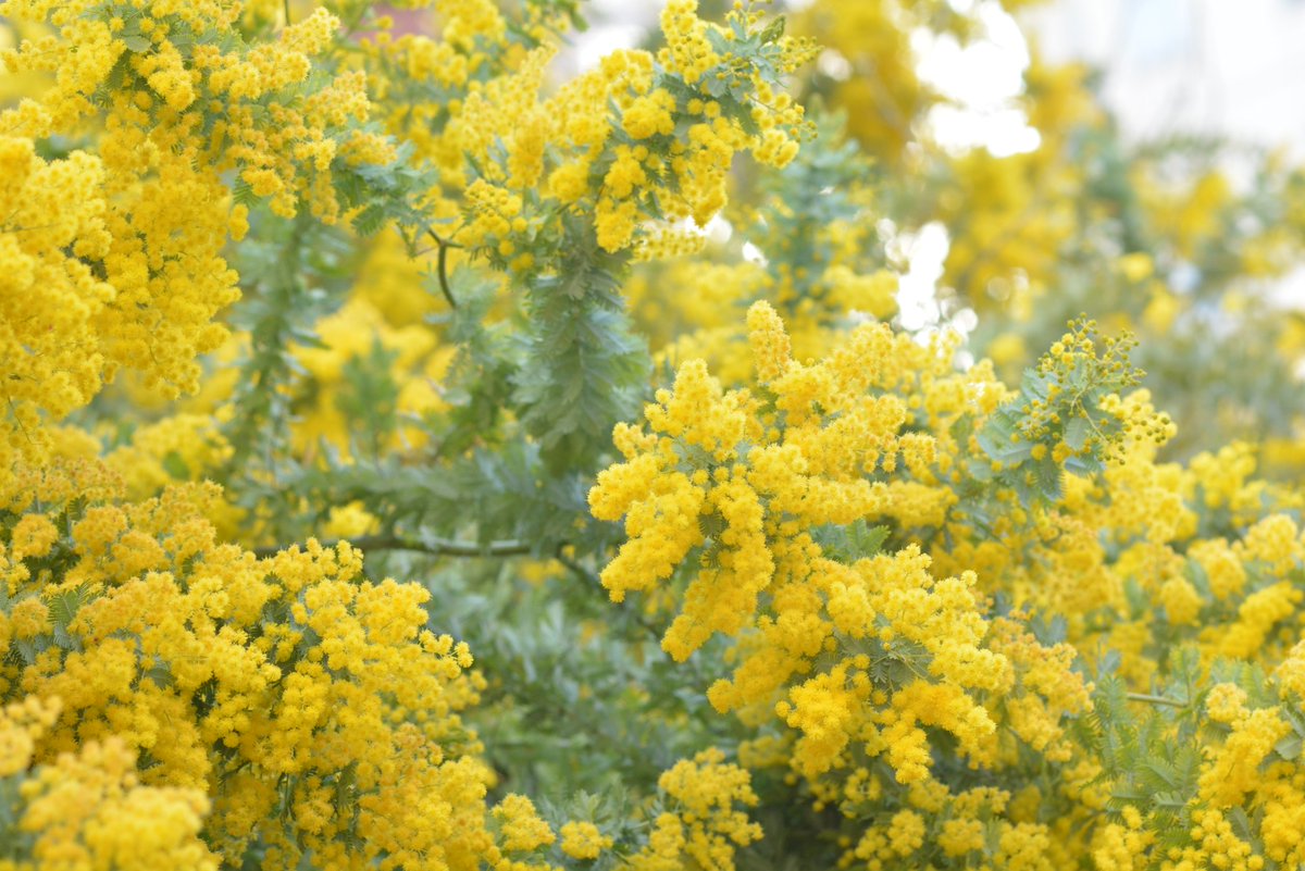 鈴木です。 tweet media