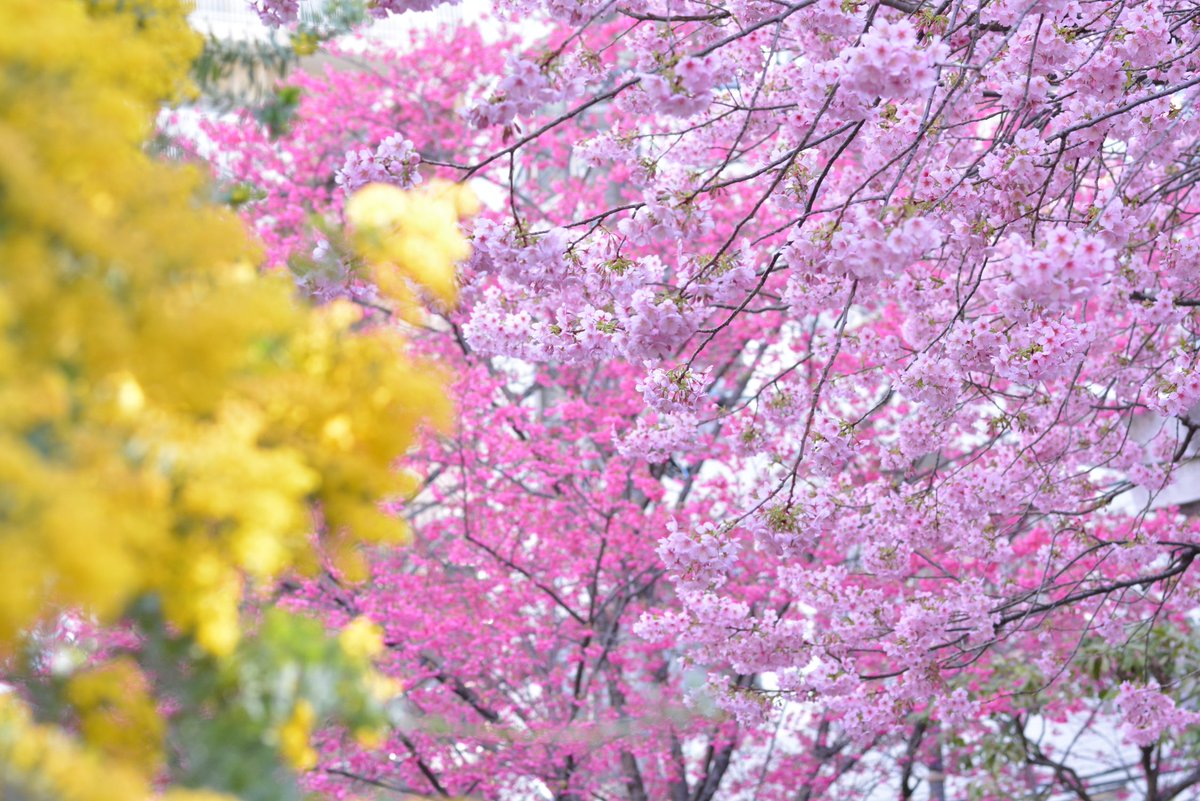 鈴木です。 tweet media