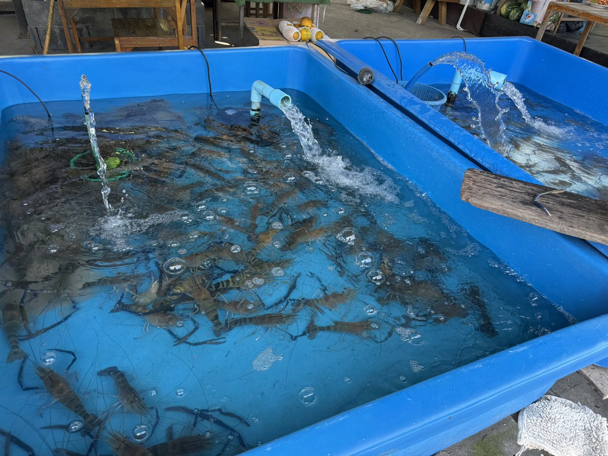 Ali 🍀🦋 tweet media