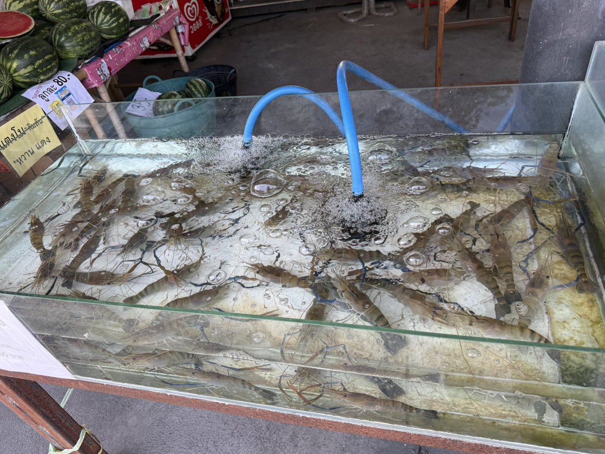 Ali 🍀🦋 tweet media