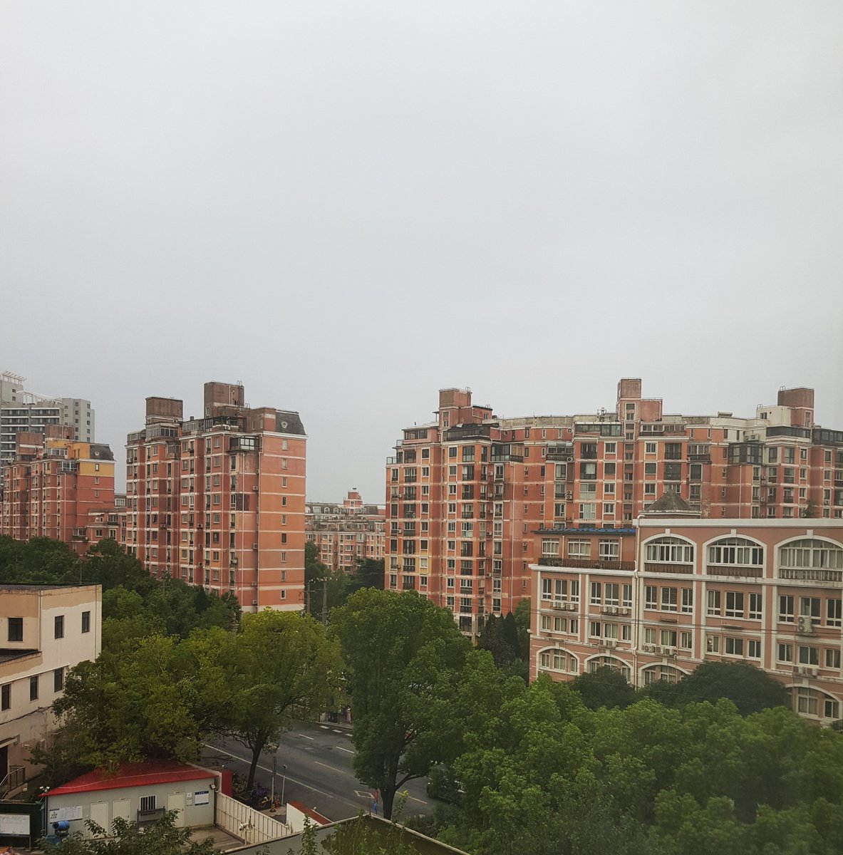 Zane Šime tweet media