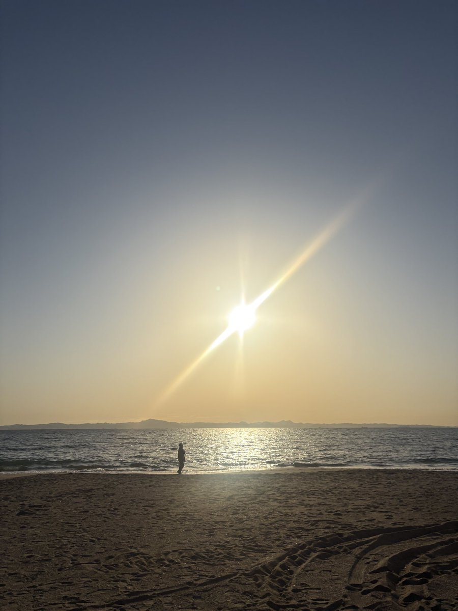 野口絵子 Eko Noguchi tweet media