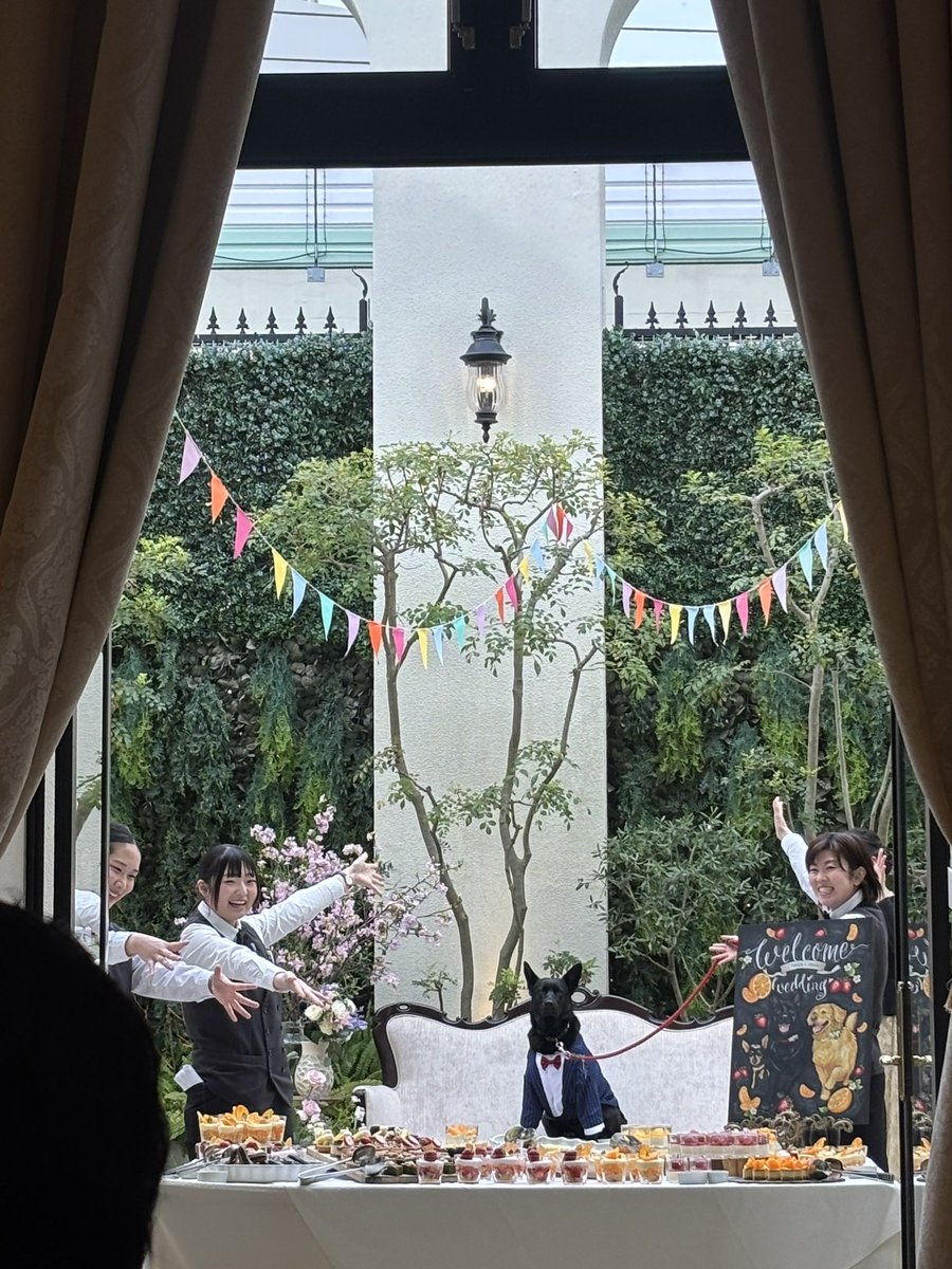 mermasa_Rec's tweet photo. 2/27、挙式！
温かいご声援をいただき、すっっっごく幸せでした！

@WISH_Wind_Orch 
@Lustra_Brass 
@roots_wind 

参列してくれた皆さん、本当にありがとうございました😭

これからも、どうぞご指導、ご支援頂けますと幸いです！ https://t.co/PNkn3l8Ad0