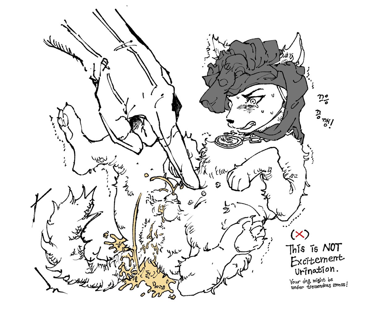 dog roche w foltest/iorveth