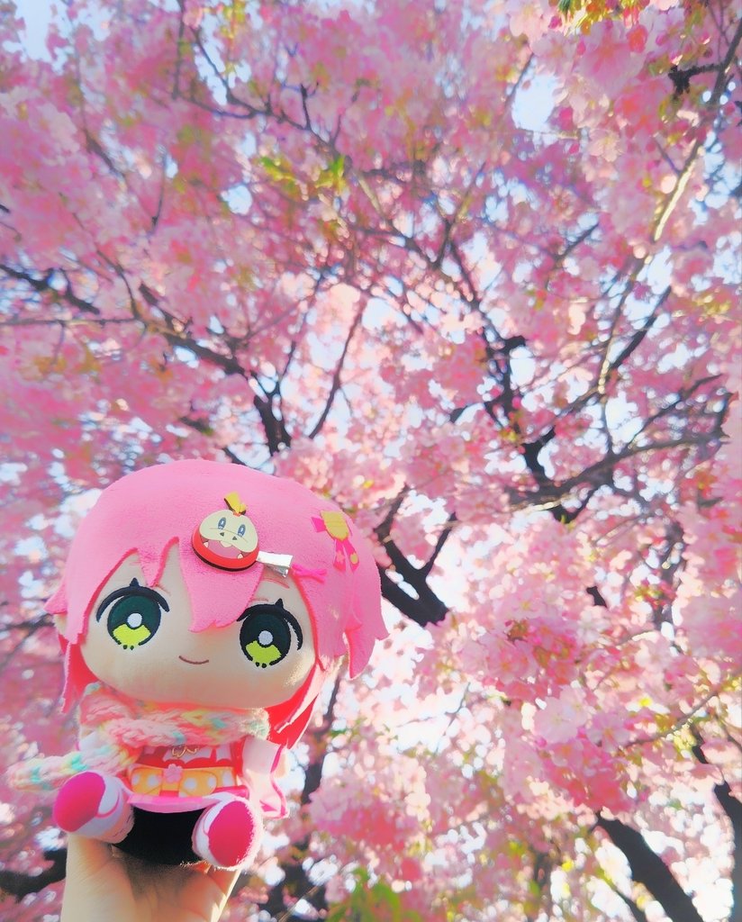 もさみち (@11osanpobiyori) / Posts / X