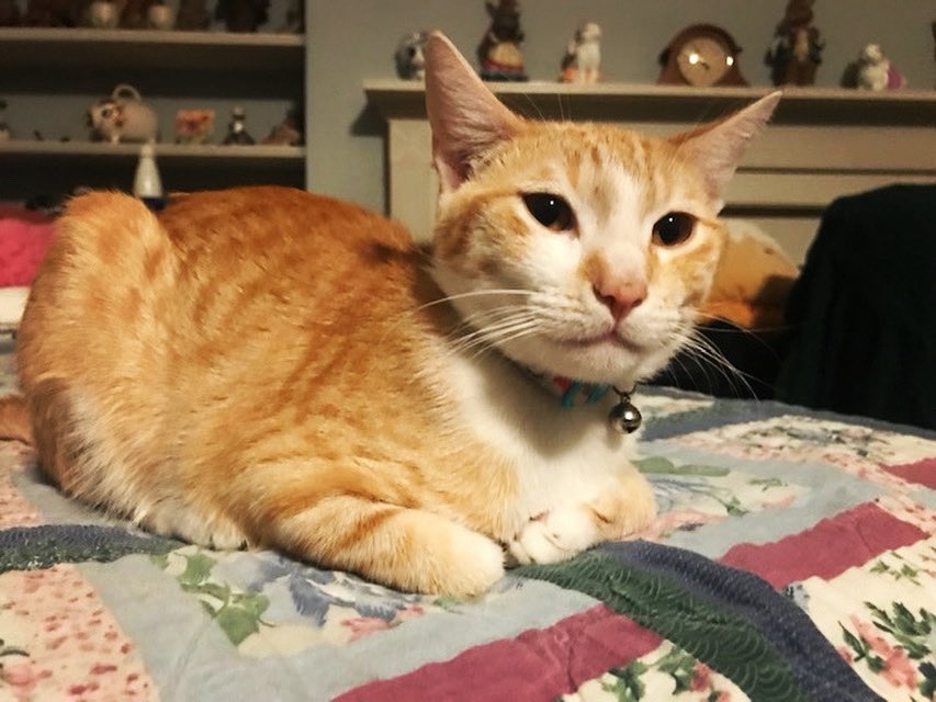 NobodyListensPaulaPoundstone tweet media