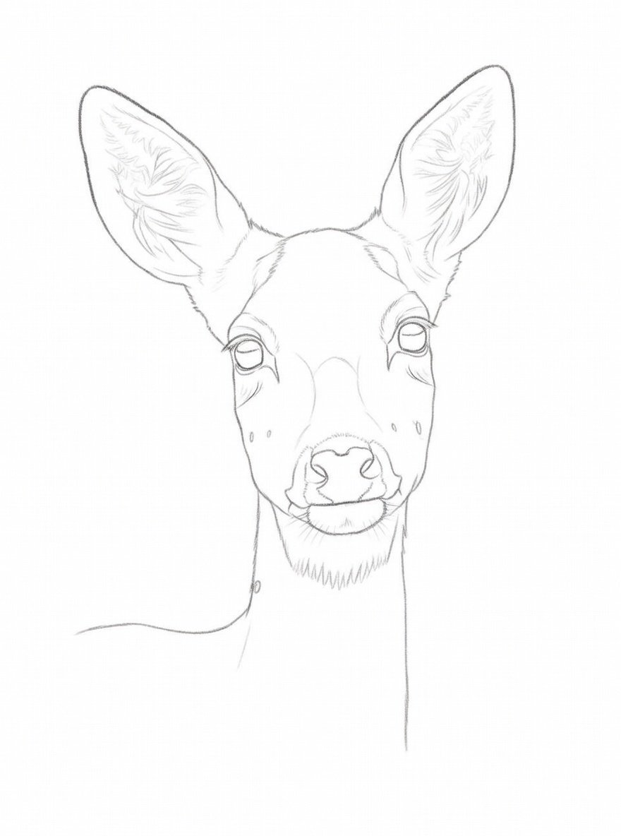 TrendyMill8's tweet image. Art is built layer by layer. ✍🏽
Would you frame this? 👑#PencilPortrait
#AfricanArt
#SketchProcess
#WildlifeArt
#ModernAfricanArt