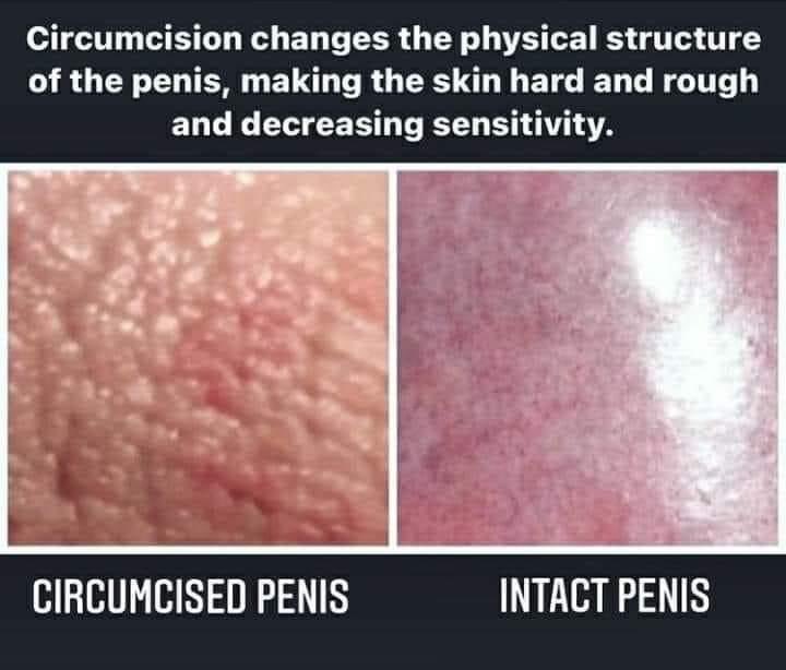 Jᴇʀᴇᴍʏ tweet media