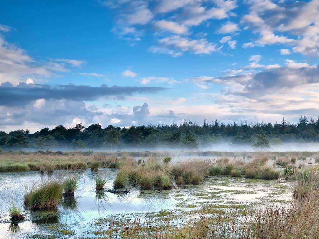 As a native Dutchman, descended from Frisians, Franks, Saxons &amp; Neolithic Funnel Beaker folk, my bond with this land runs deep. The soil, fields, woodland &amp; rivers aren’t just scenery, they’re inheritance, ancestral memory &amp; home. If you aren't ethnically Dutch you won't feel it.
