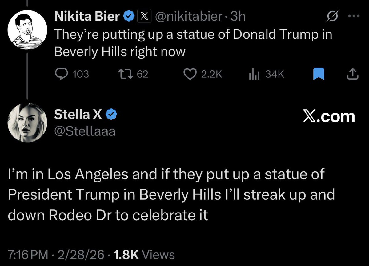 Stella X tweet media
