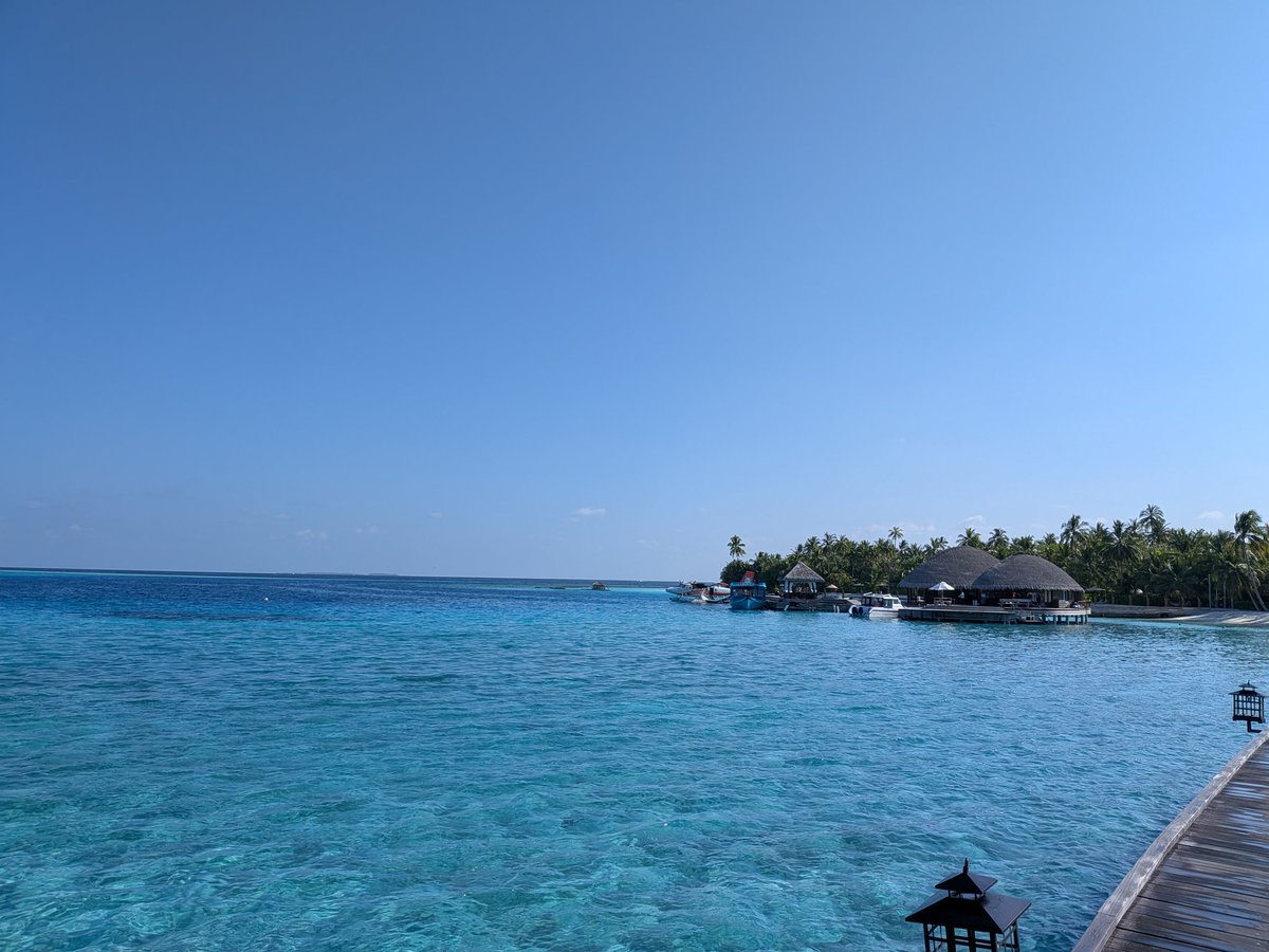 ゆ〜さく tweet media