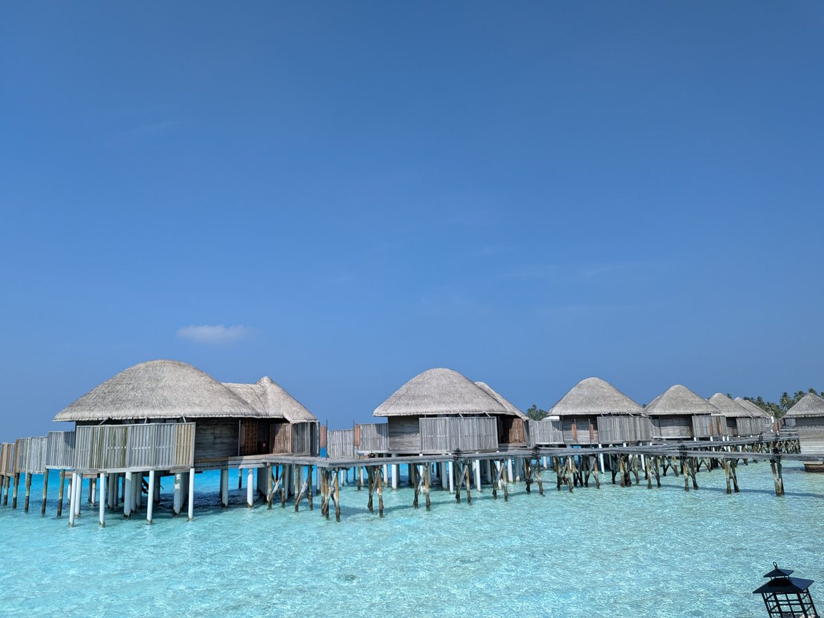 ゆ〜さく tweet media