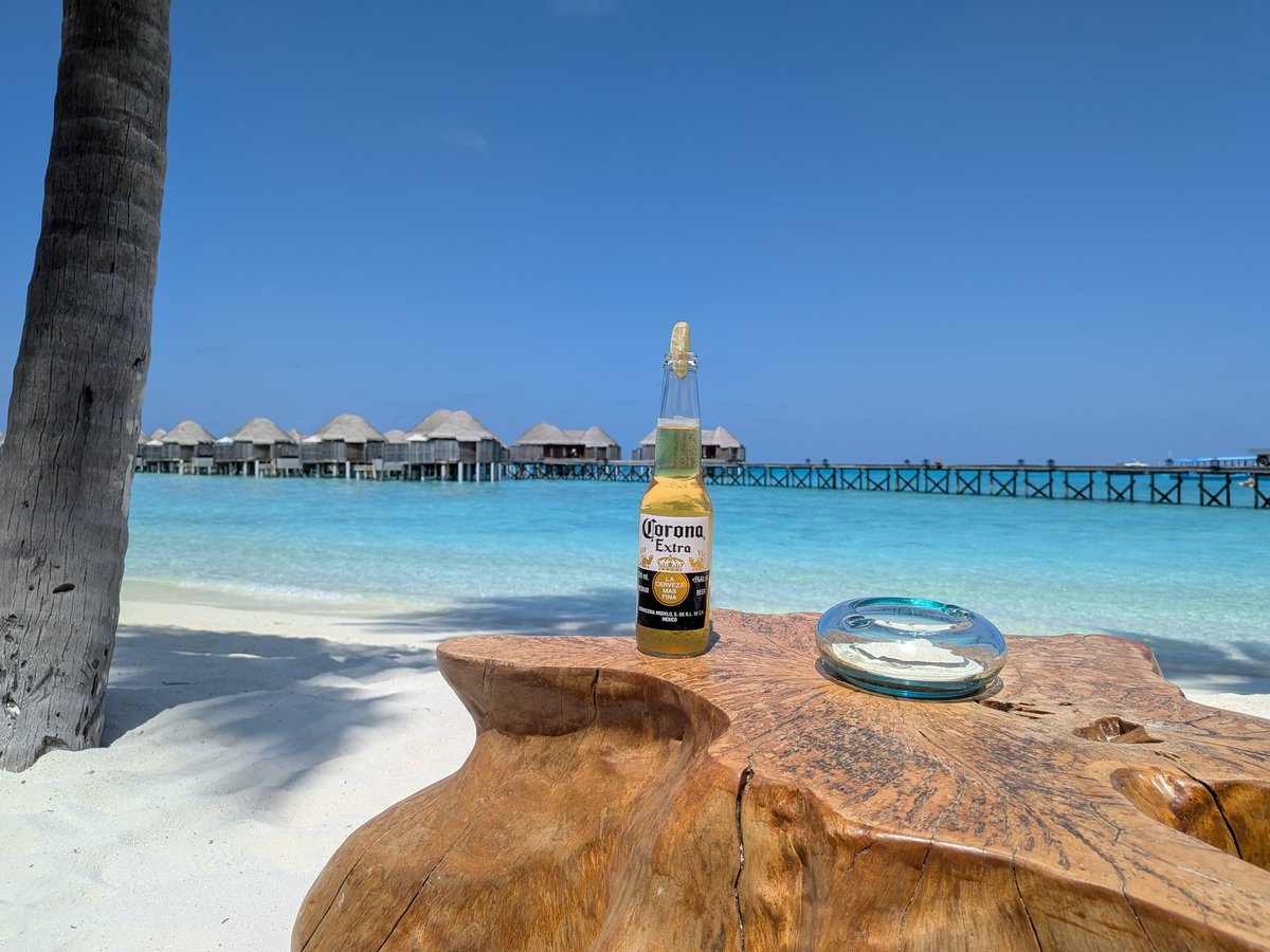 ゆ〜さく tweet media