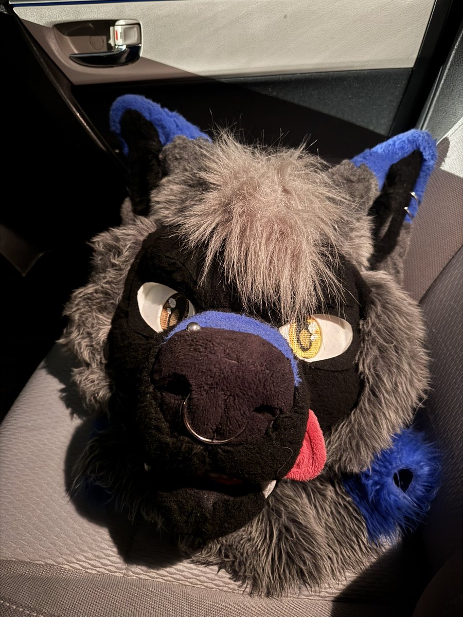 FlopDog 🐶❤️🐶 tweet media