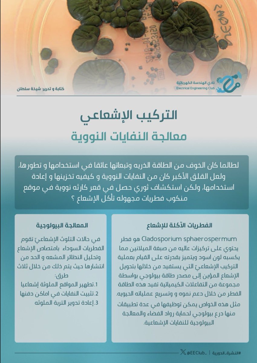 Electrical Engineering Club tweet media