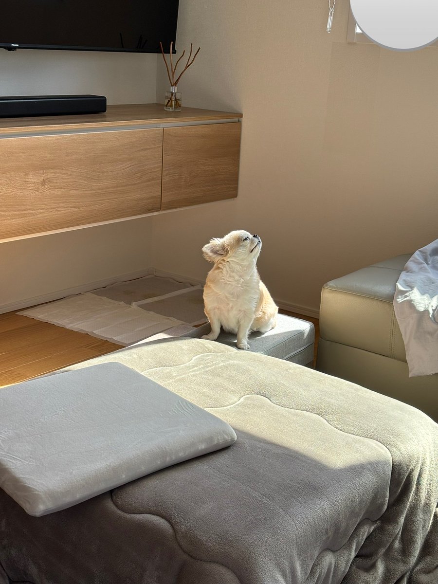 春を感じてる顔してる