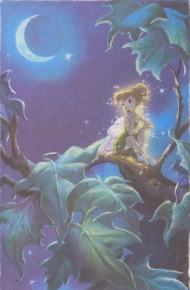 Jellyfish Loli 🪼 tweet media