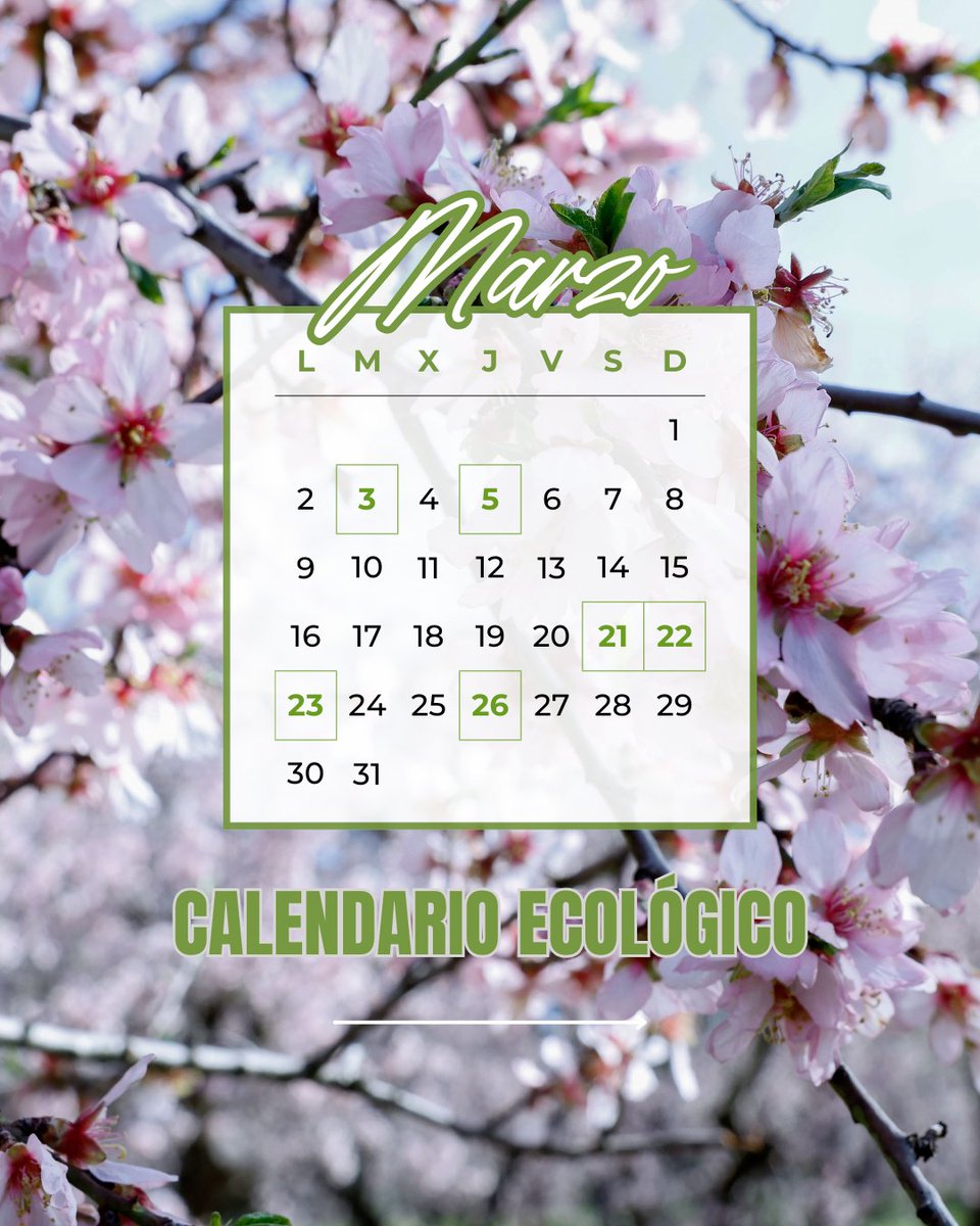 EFEverde tweet media