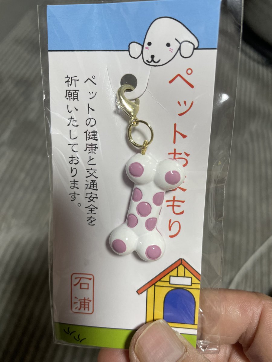 Inu_Chewbacca's tweet photo. 息子のチョビへのお土産 https://t.co/wwAaYNIBX5