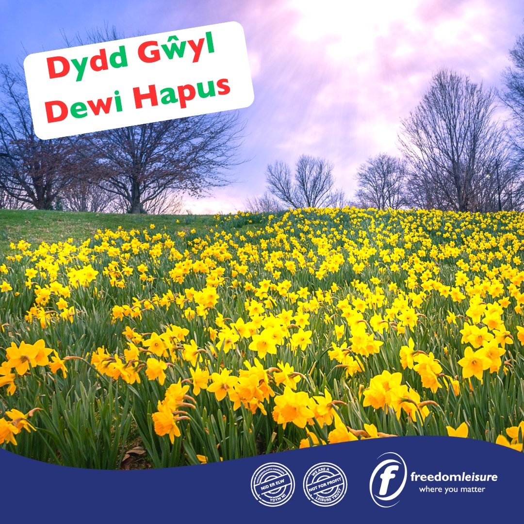 freedom leisure WXM tweet media