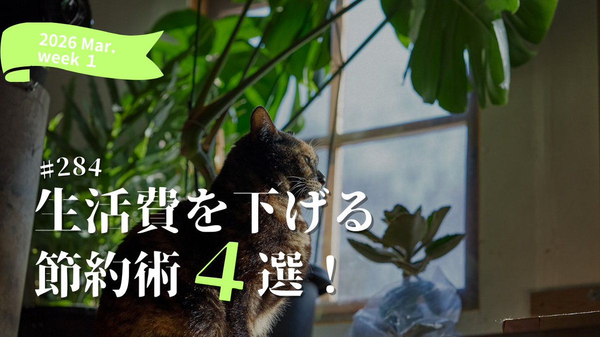 morinoterror's tweet photo. YOUTUBEを更新しました！

「【コスパ最強】無添加の手作り化粧水から猫の介護まで｜田舎移住者のリアルな節約術まとめ［vol.284］」です！

よろしくお願いします！
https://t.co/R2nbRcphlm https://t.co/OnhLJn806f