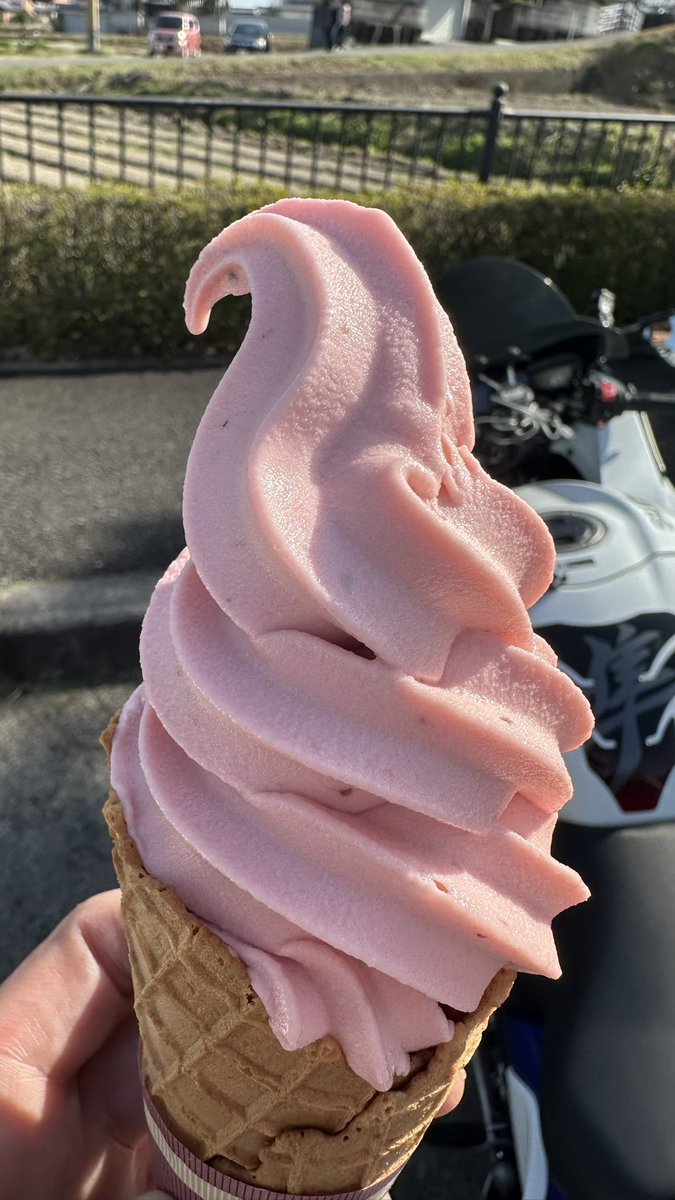 目が痒い👀🍦 買わず桜🌸🌸🫠