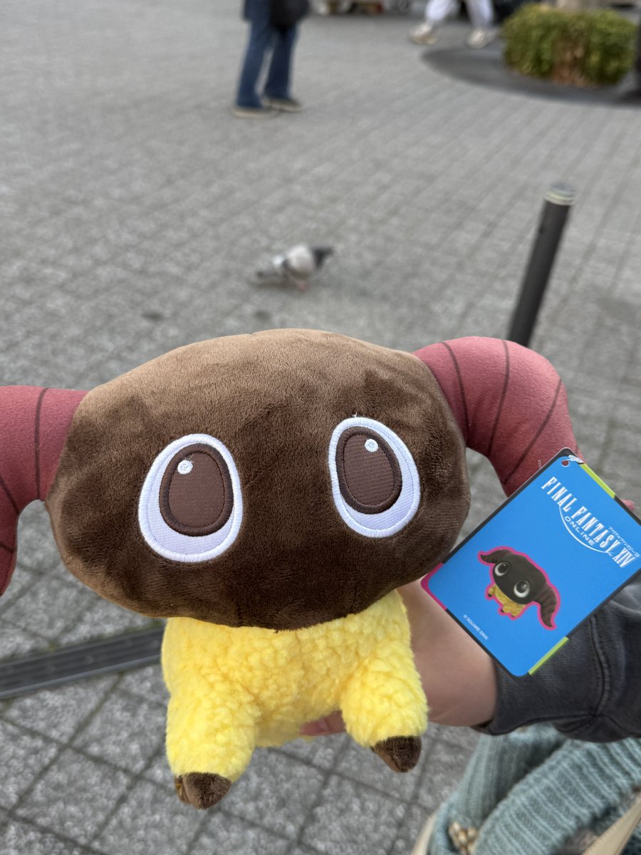 ᴋᴀᴇᴅᴇ tweet media