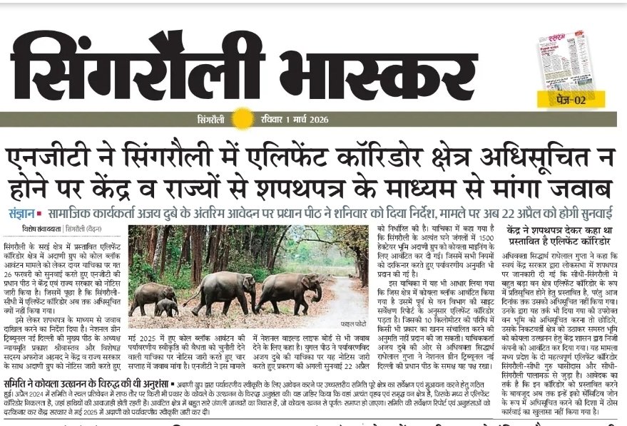 Ajaydubey9's tweet photo. NGT has sought an explanation from the Centre and madhya pradesh govt on why the #Singrauli-Sidhi #elephant corridor remains unnotified despite prior commitments #coalblock
@byadavbjp @moefcc @PMOIndia @CollectorSGL @CMMadhyaPradesh https://t.co/xezhz3ezeu