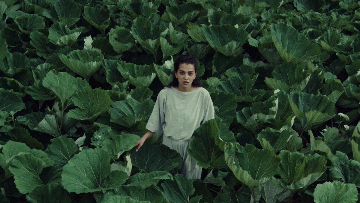 Karlovy Vary IFF tweet media